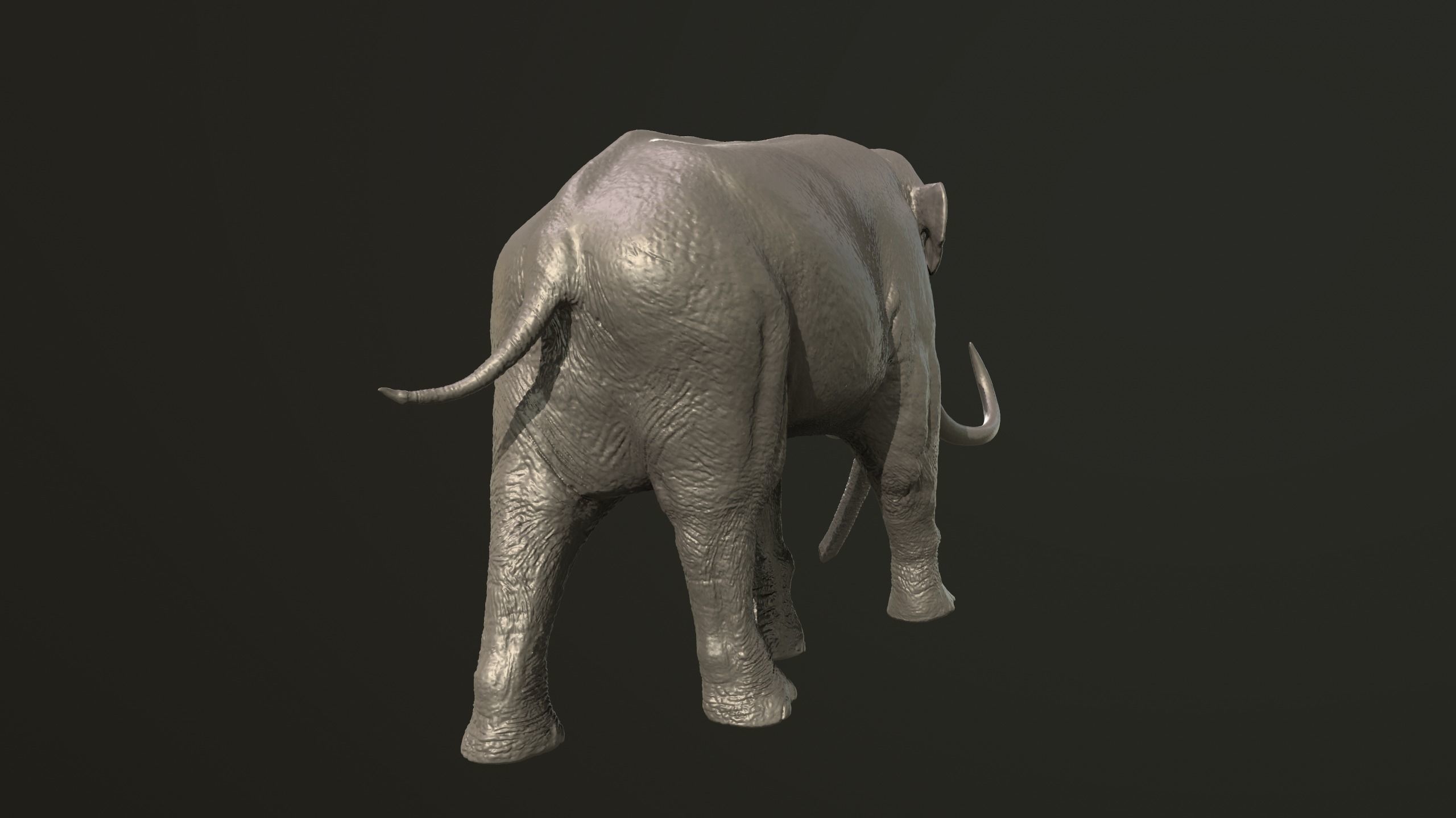 Collection of 10 extinct elephantoid proboscidean 3D print model_14