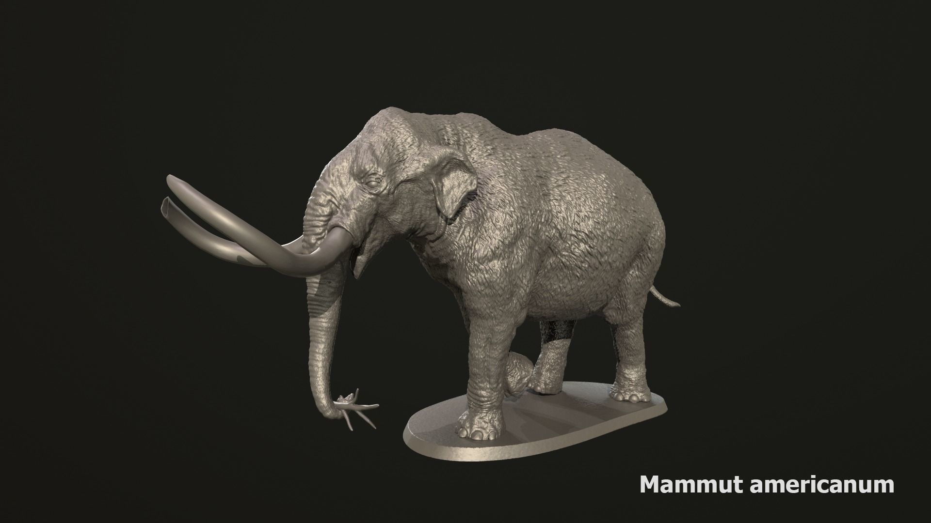 Collection of 10 extinct elephantoid proboscidean 3D print model_38