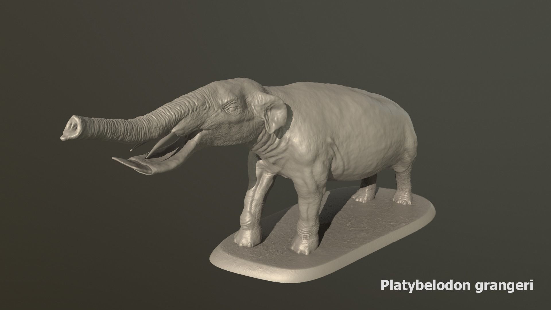 Collection of 10 extinct elephantoid proboscidean 3D print model_48