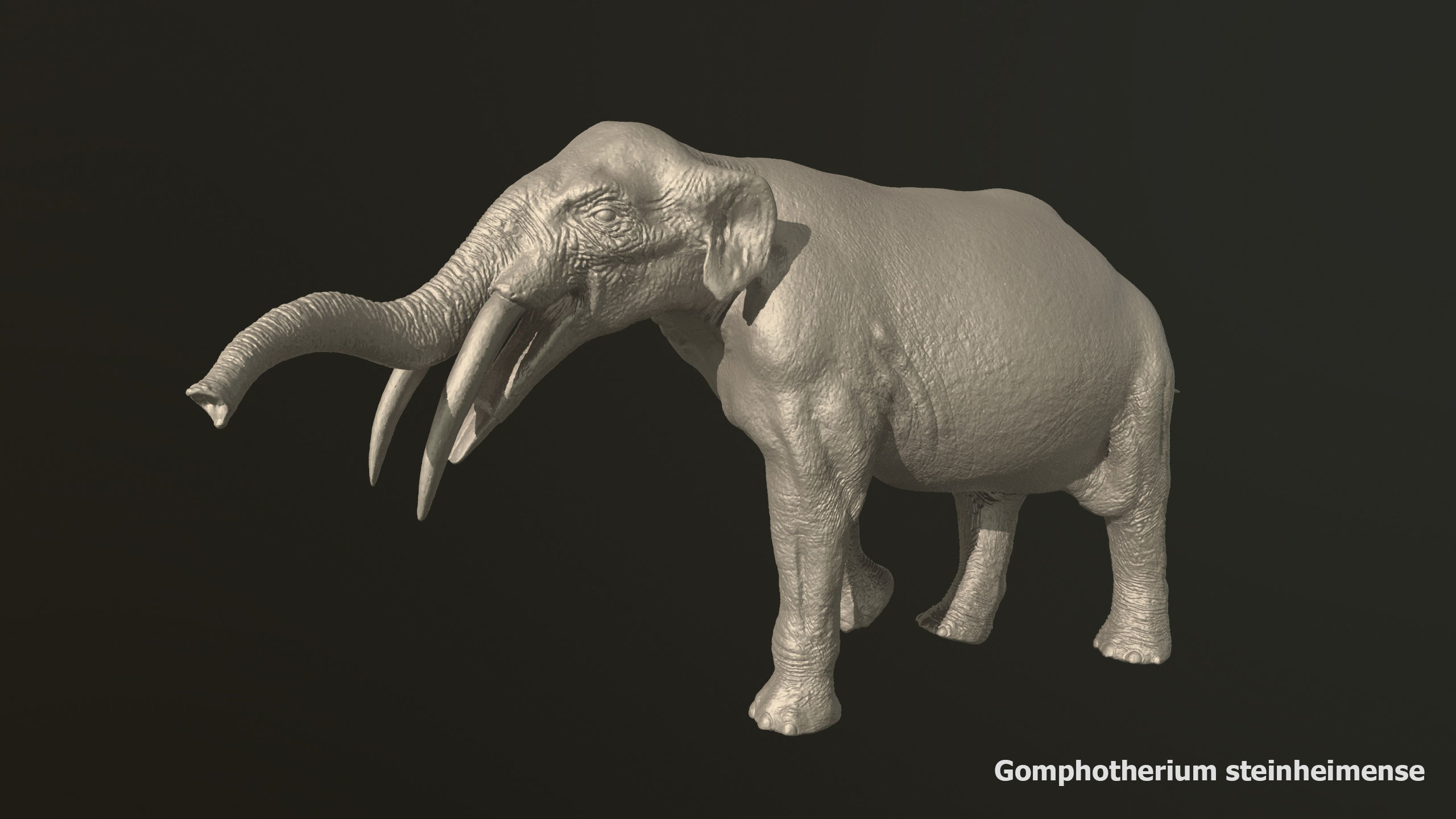 Collection of 10 extinct elephantoid proboscidean 3D print model_72