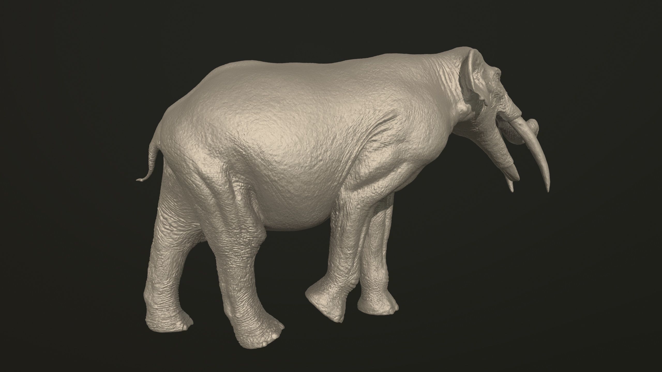 Collection of 10 extinct elephantoid proboscidean 3D print model_78
