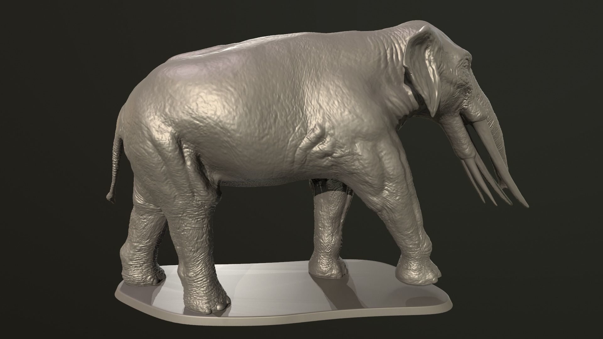 Collection of 10 extinct elephantoid proboscidean 3D print model_35