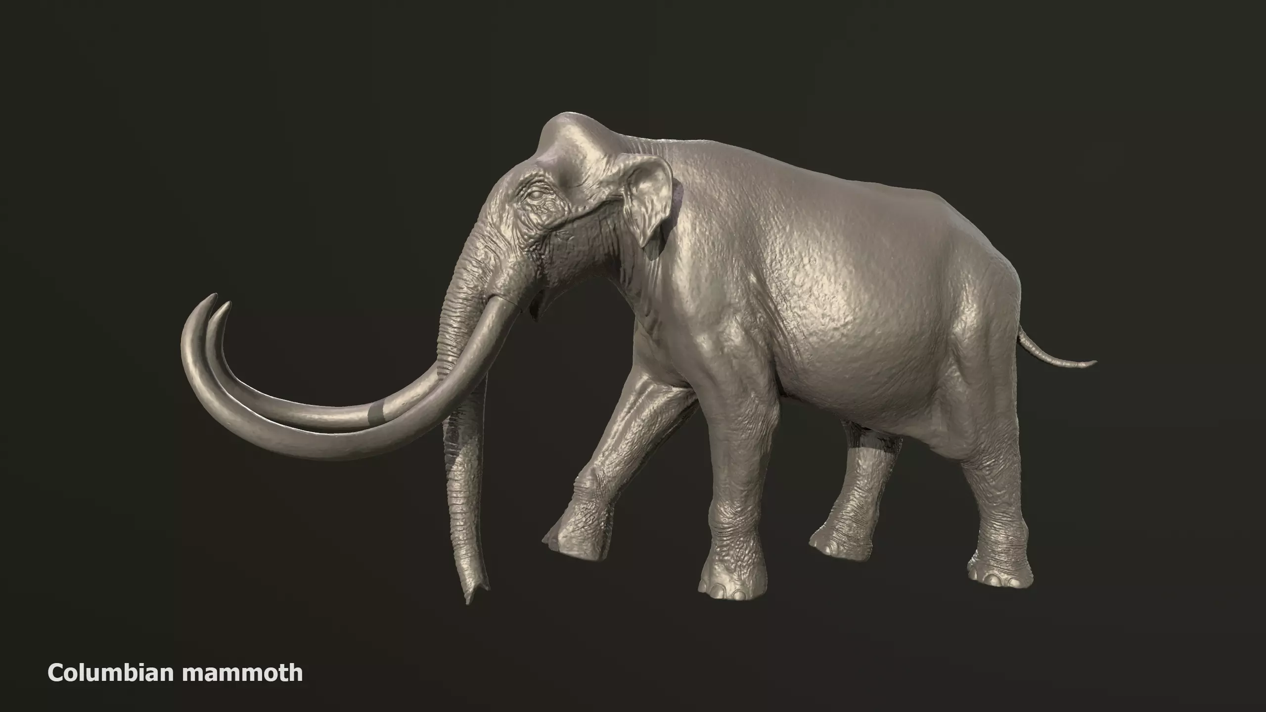 Collection of 10 extinct elephantoid proboscidean 3D print model_0