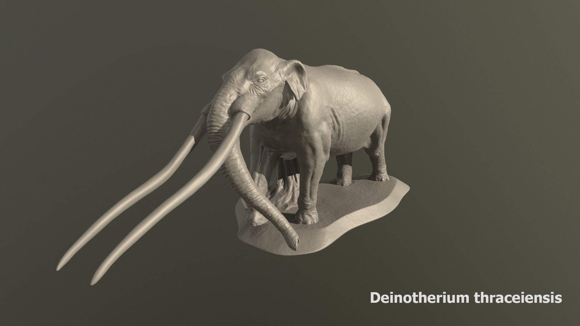 Collection of 10 extinct elephantoid proboscidean 3D print model_22