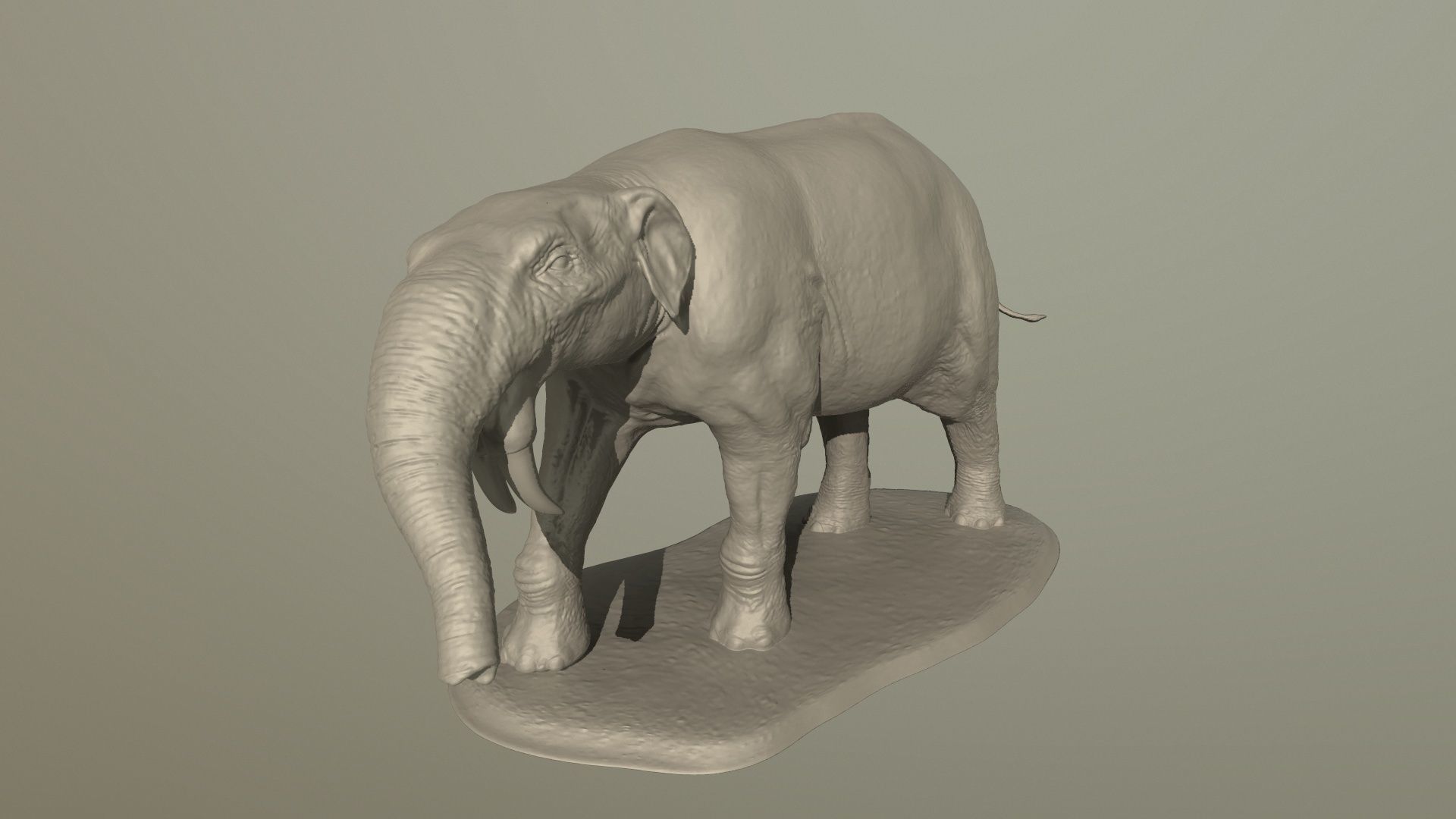 Collection of 10 extinct elephantoid proboscidean 3D print model_64