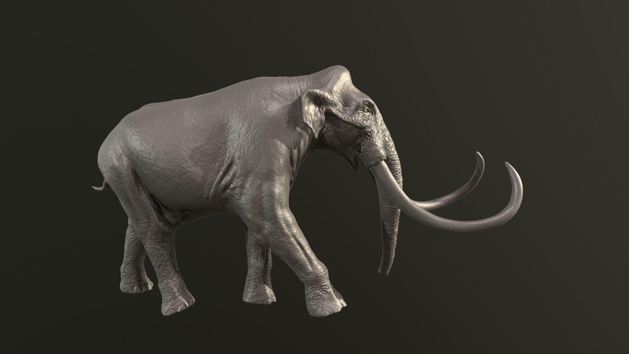 Collection of 10 extinct elephantoid proboscidean 3D print model_12