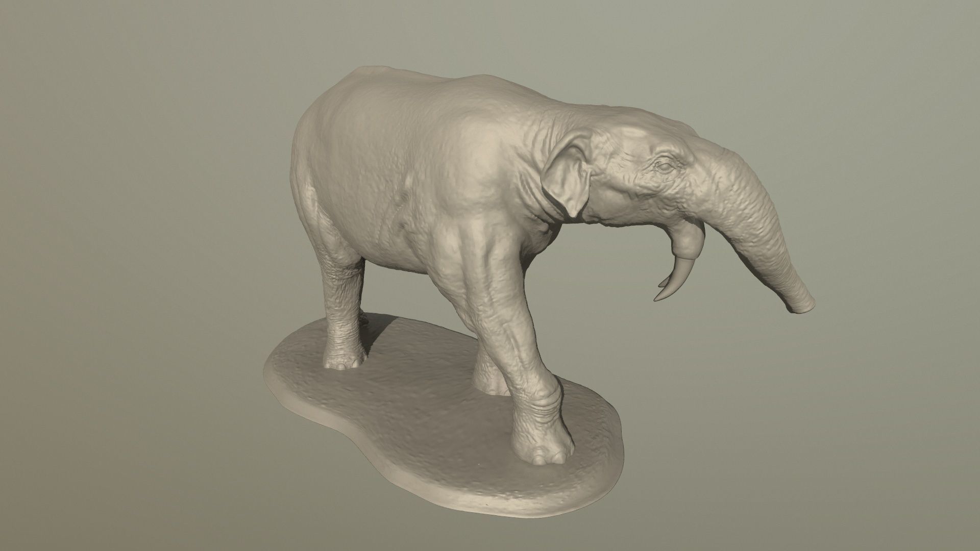 Collection of 10 extinct elephantoid proboscidean 3D print model_65