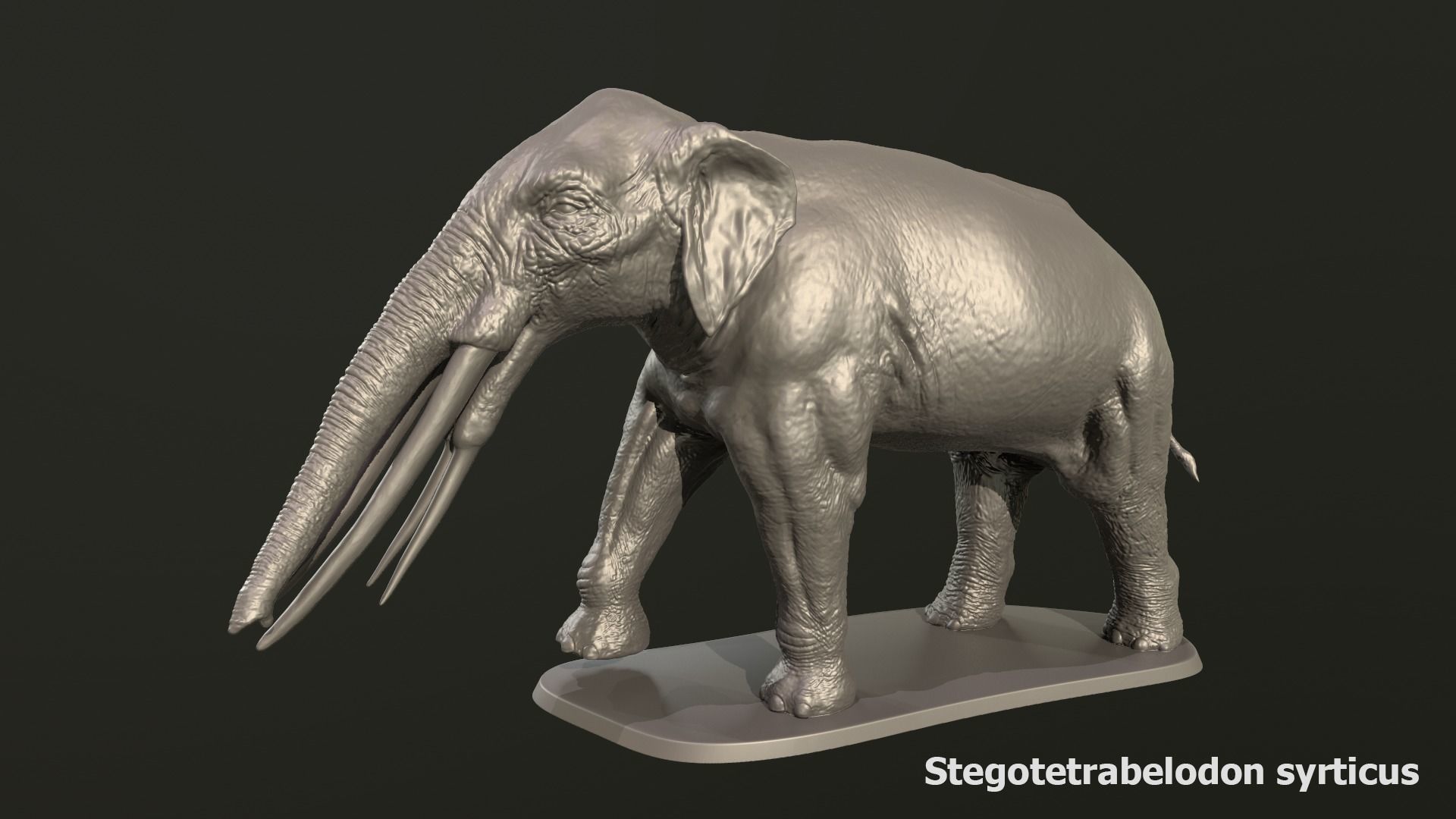 Collection of 10 extinct elephantoid proboscidean 3D print model_32