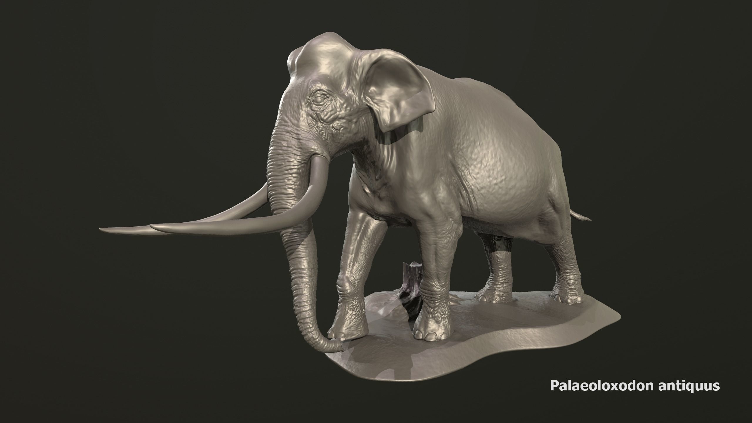 Collection of 10 extinct elephantoid proboscidean 3D print model_55