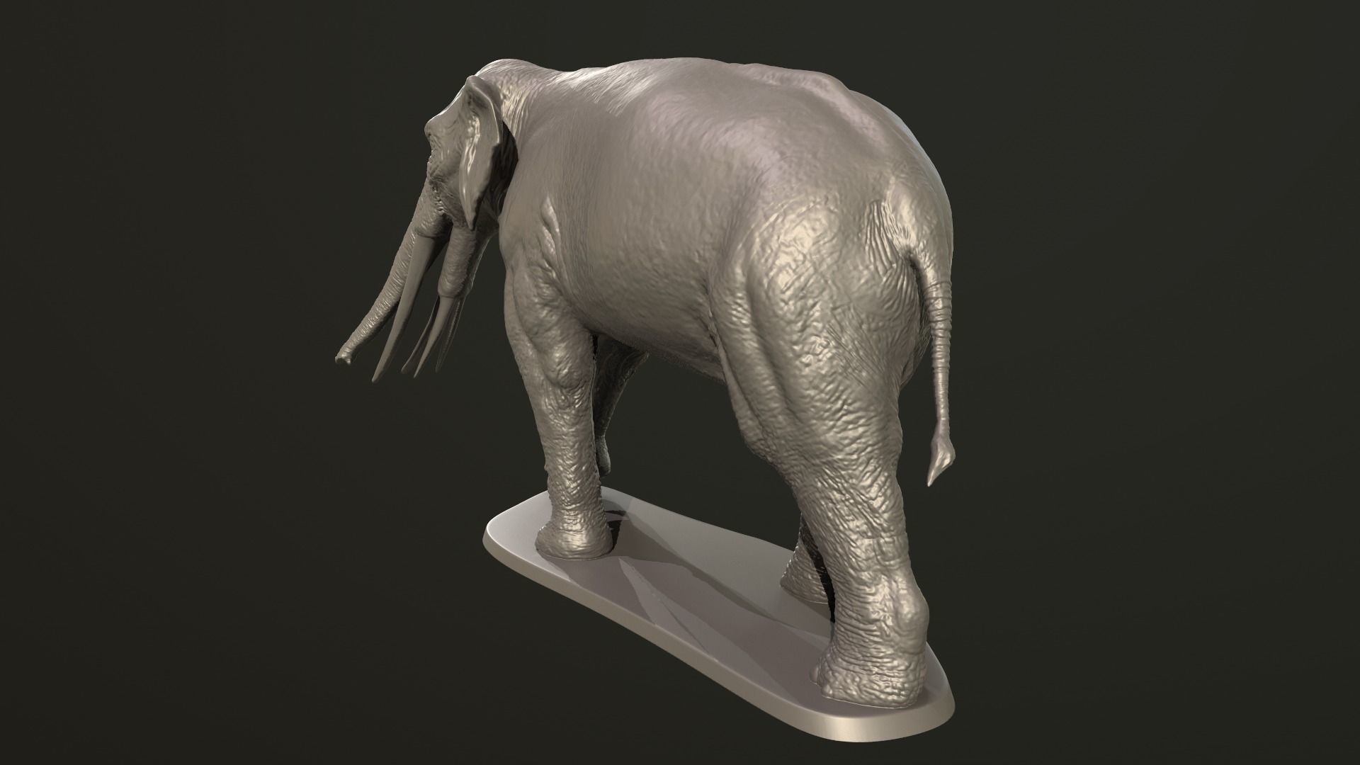 Collection of 10 extinct elephantoid proboscidean 3D print model_36