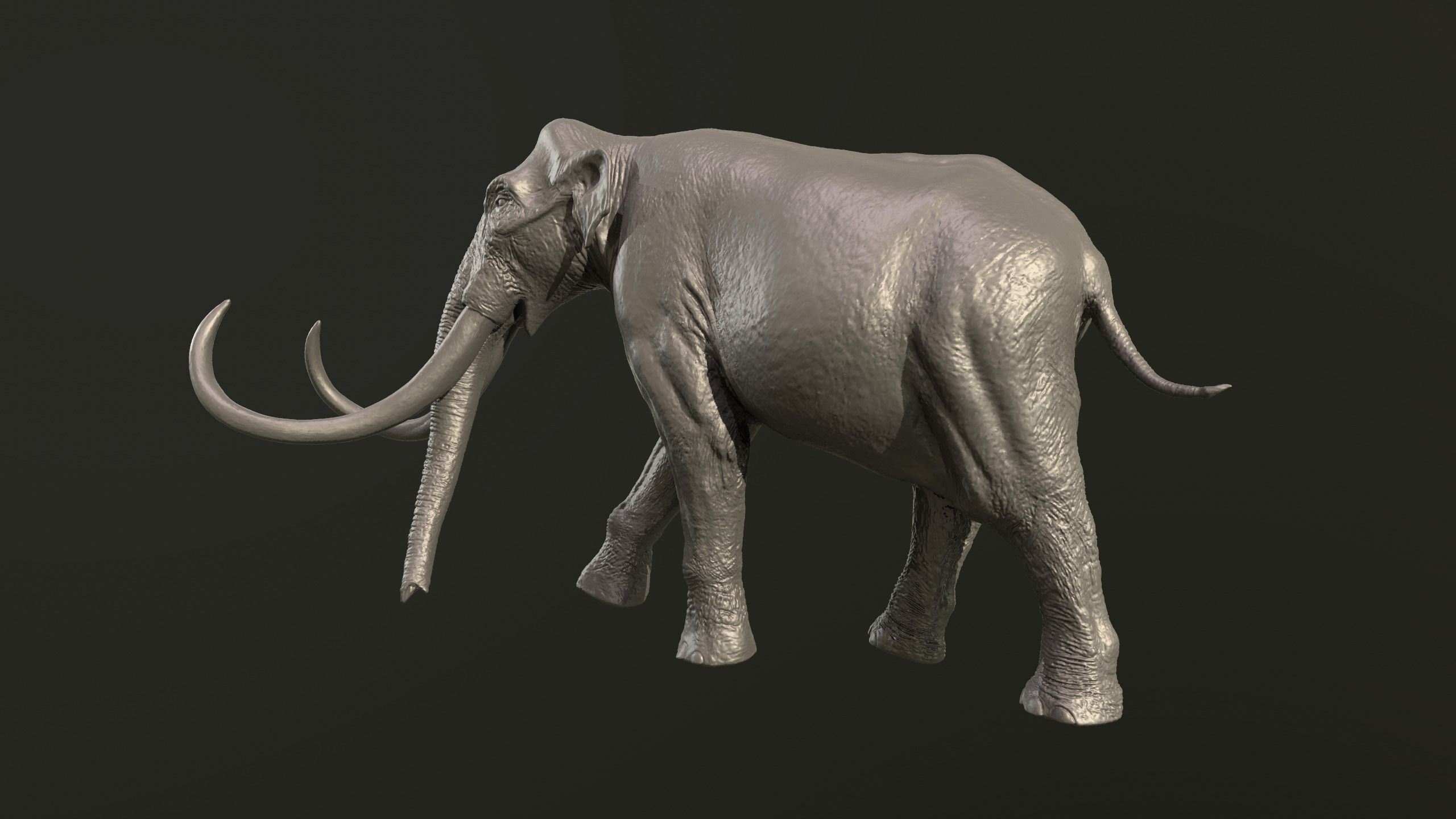 Collection of 10 extinct elephantoid proboscidean 3D print model_15