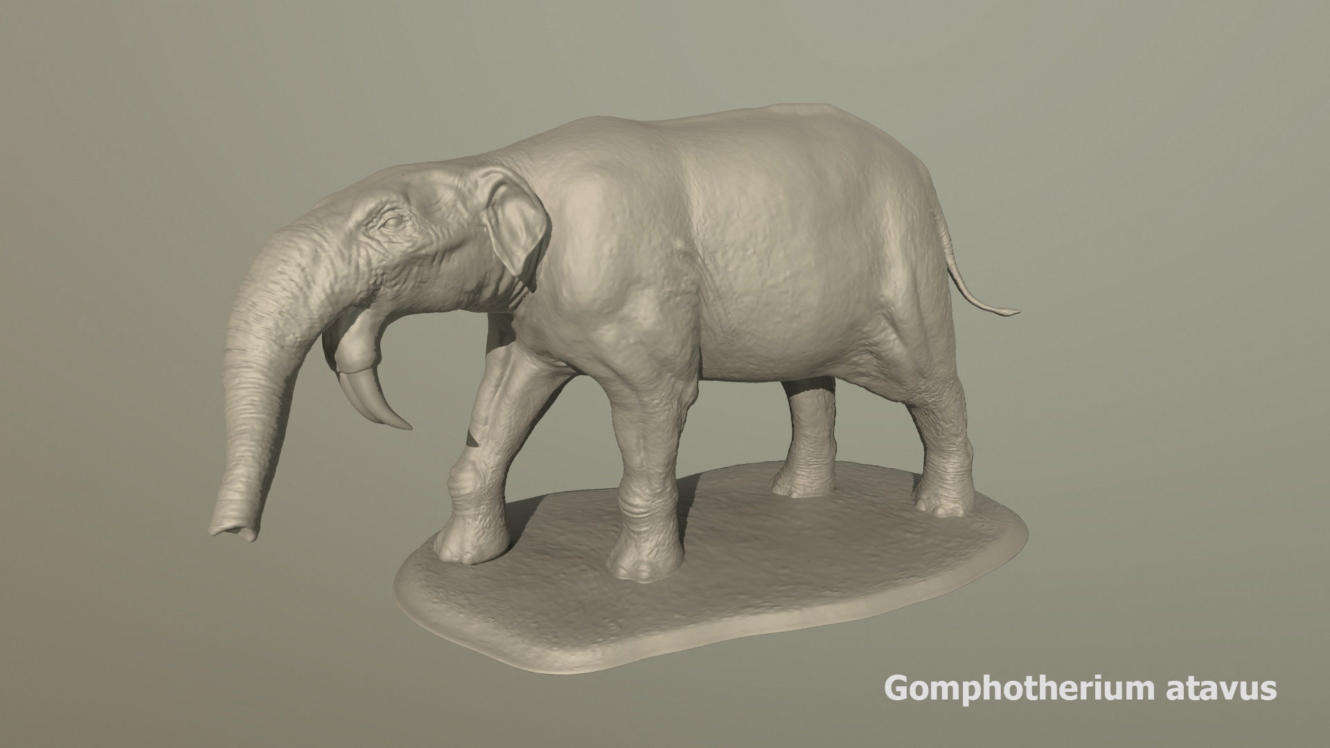 Collection of 10 extinct elephantoid proboscidean 3D print model_63