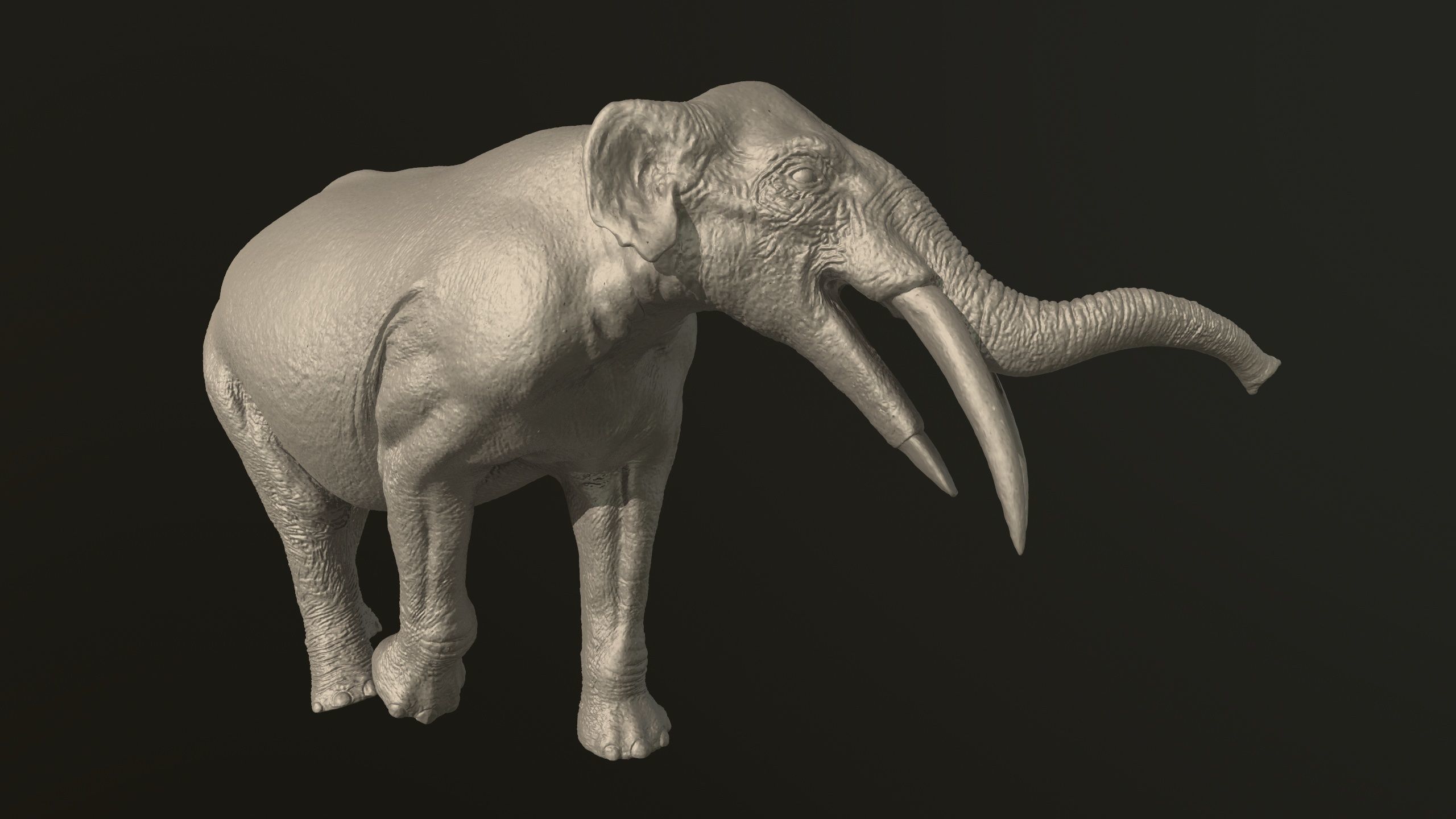 Collection of 10 extinct elephantoid proboscidean 3D print model_76