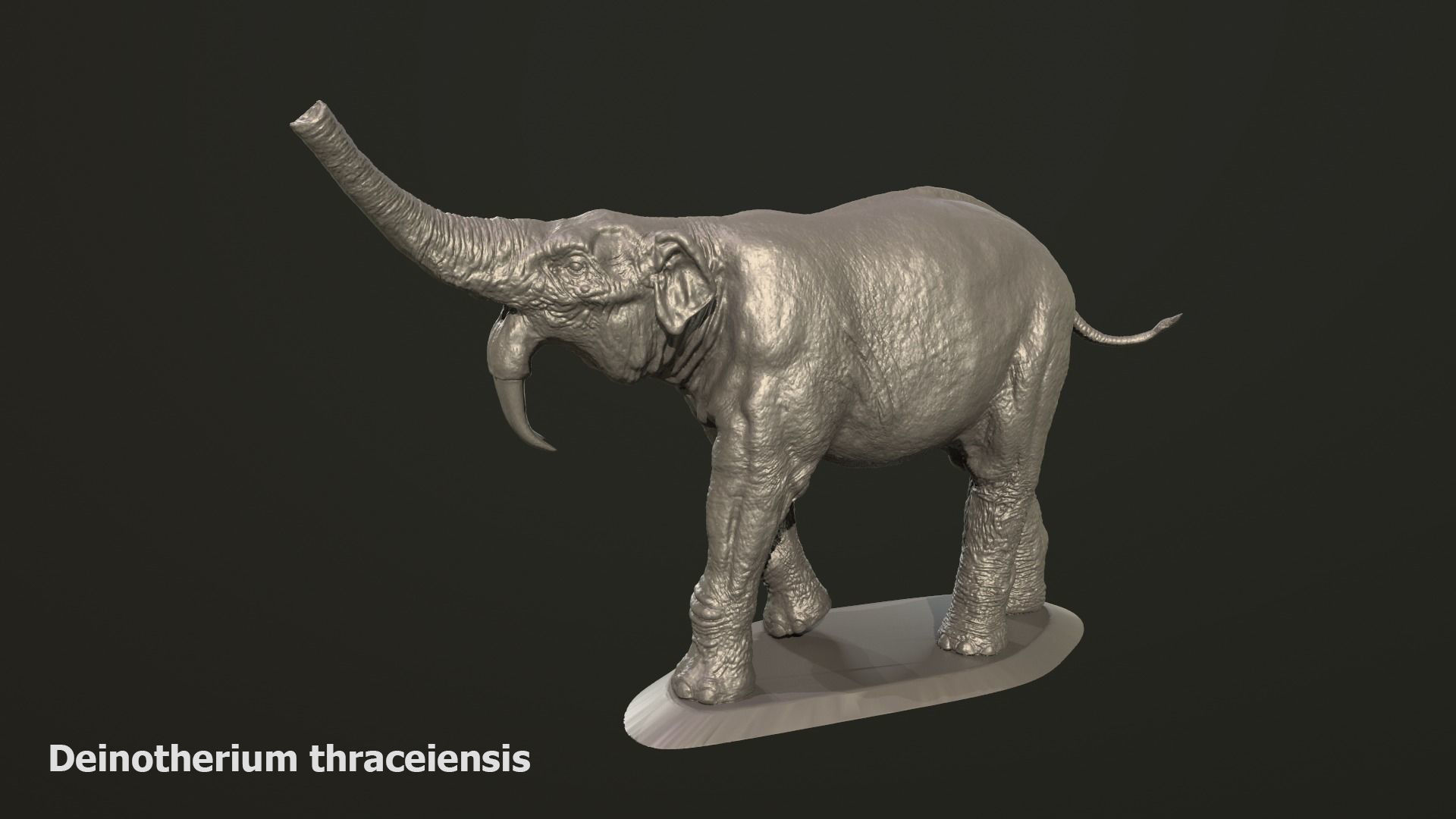 Collection of 10 extinct elephantoid proboscidean 3D print model_17