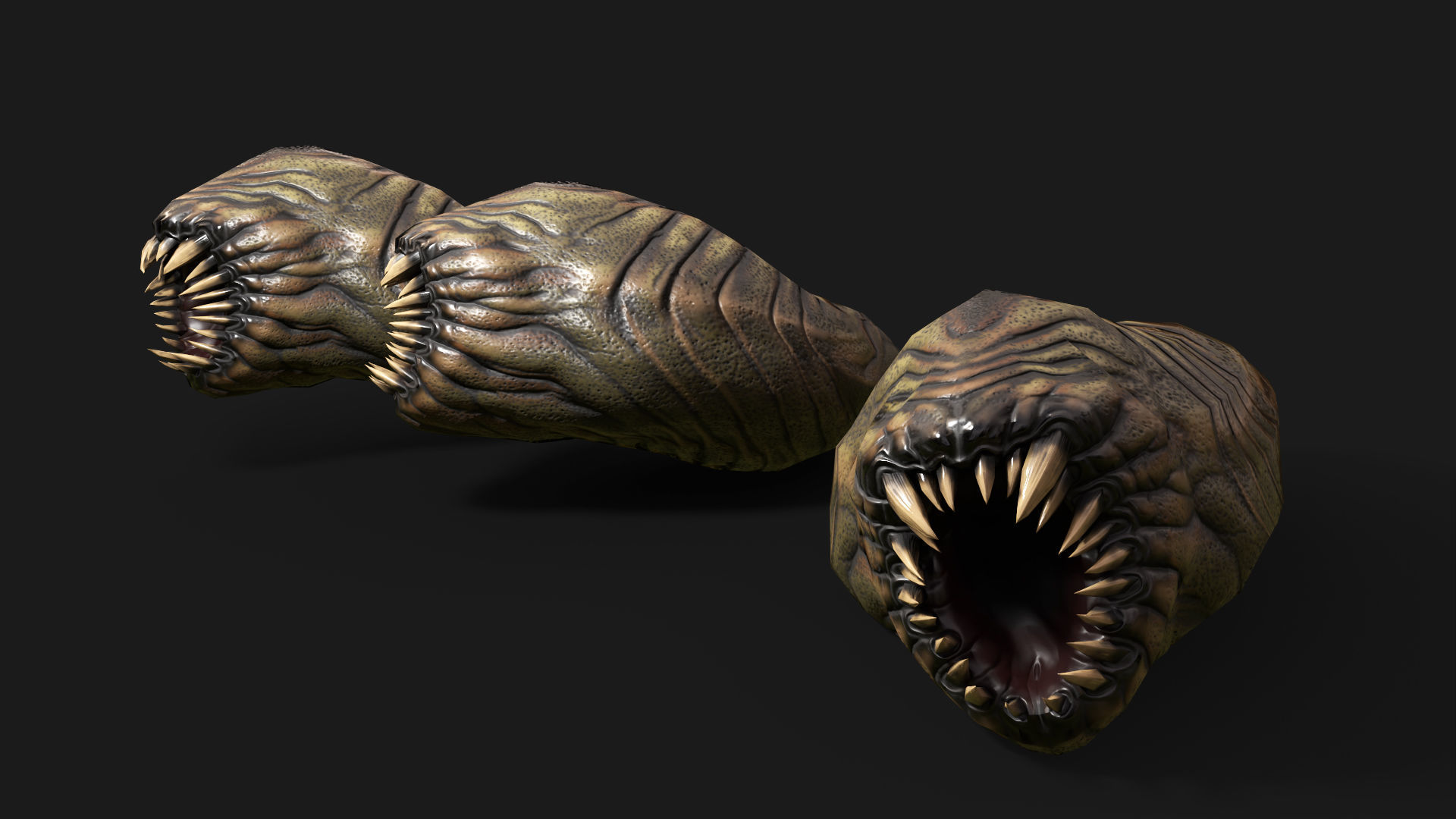 Fat Worm Low-poly 3D model_3