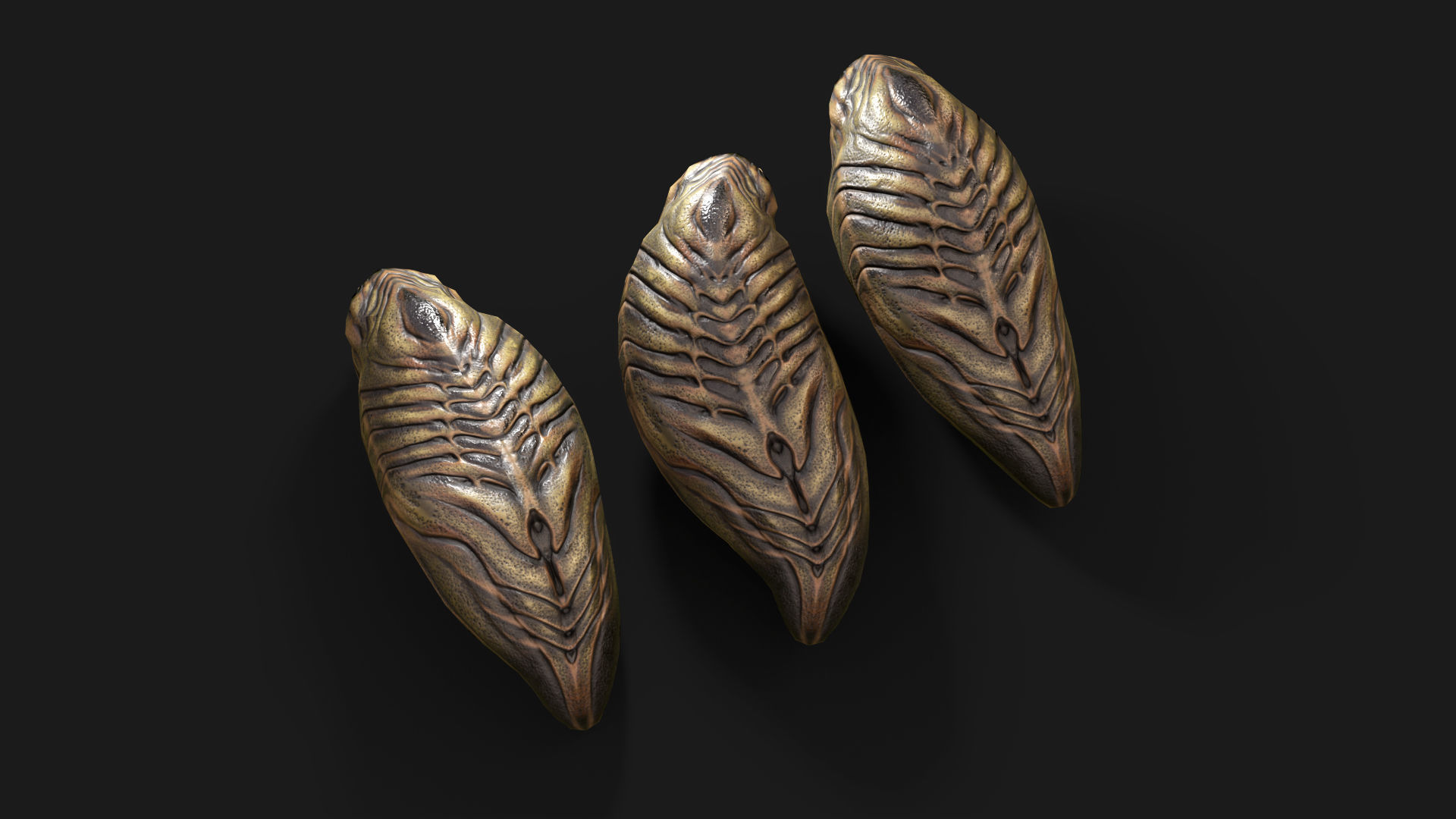 Fat Worm Low-poly 3D model_5