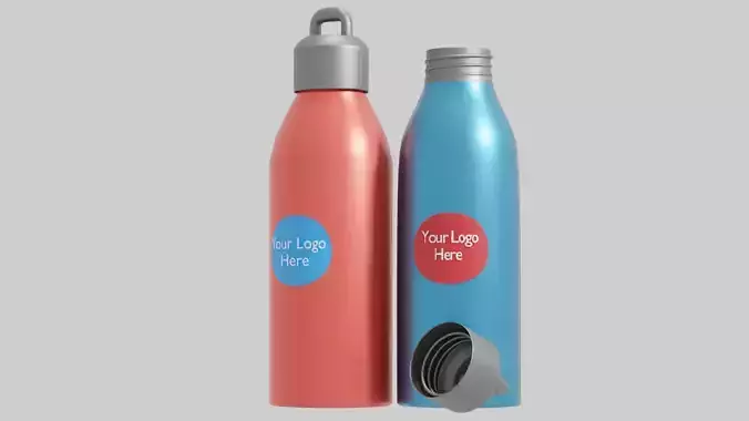 2 Steel Water Bottles