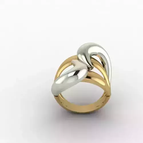 Rings two tone gold and silver ring