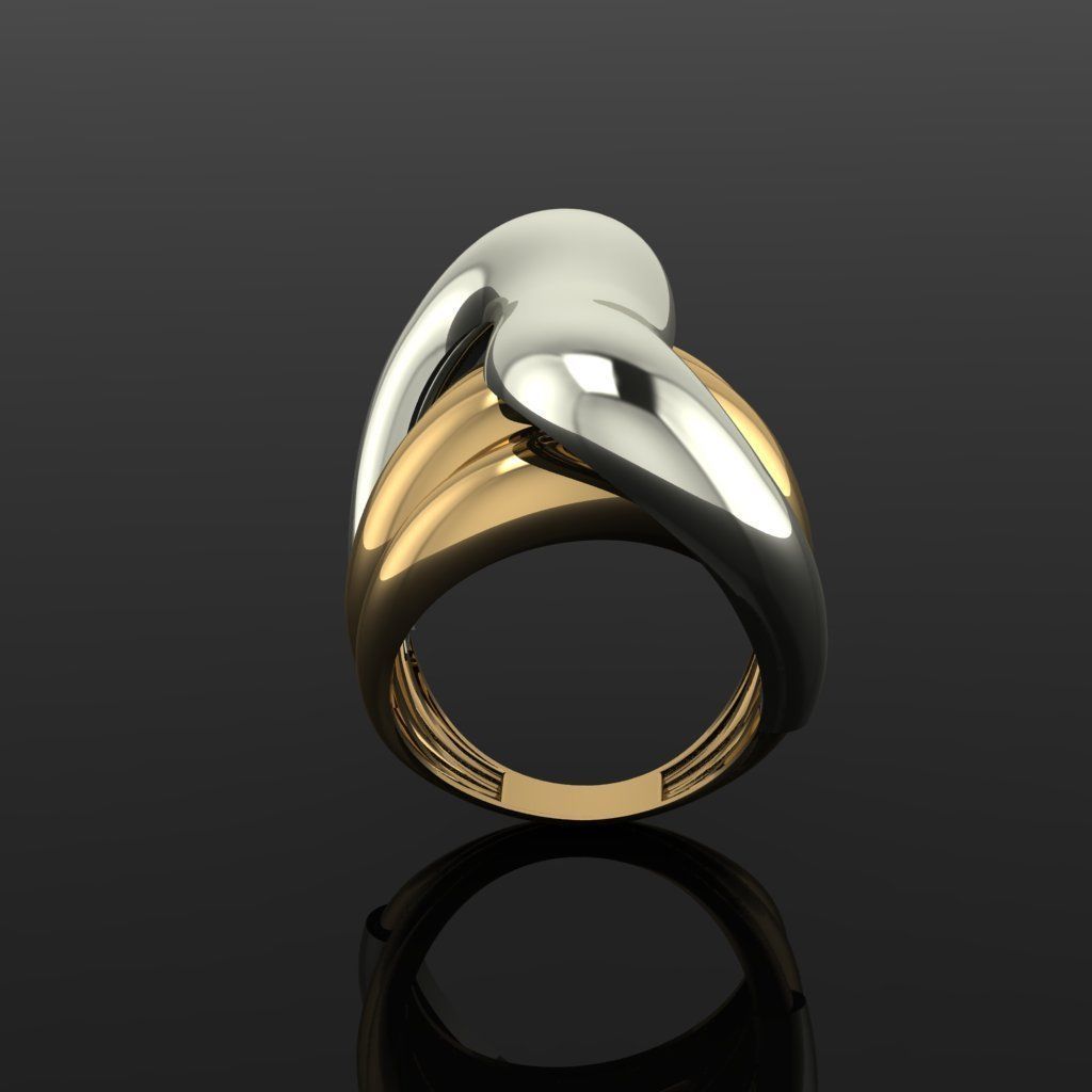 Rings ring in gold and silver 3D print model_2