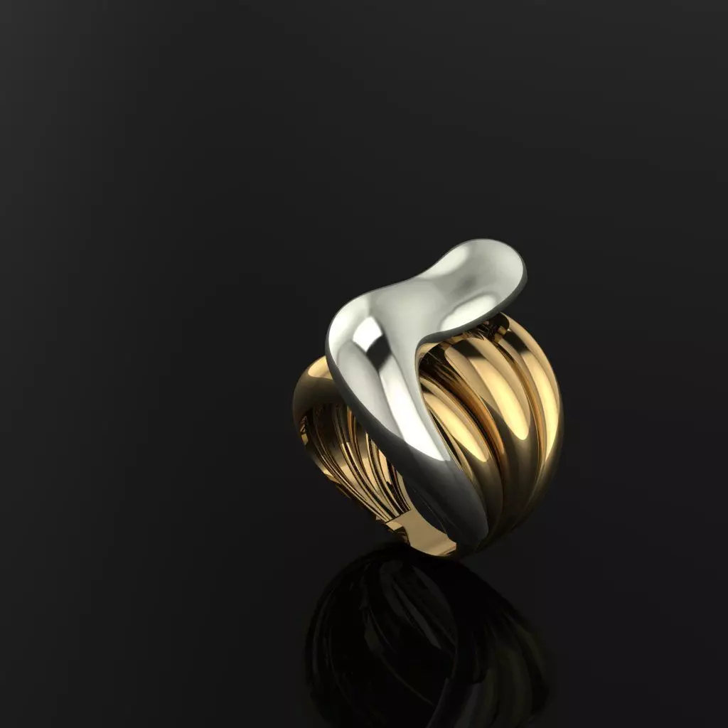 Rings ring in gold and silver 3D print model_0