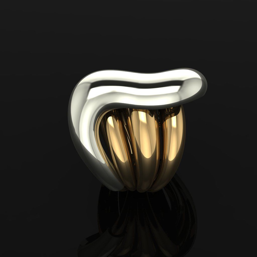 Rings ring in gold and silver 3D print model_3