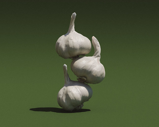 Photoscanned Garlic Bulb 3D model 7