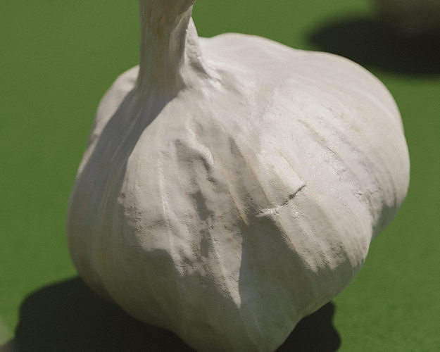 Photoscanned Garlic Bulb 3D model 4