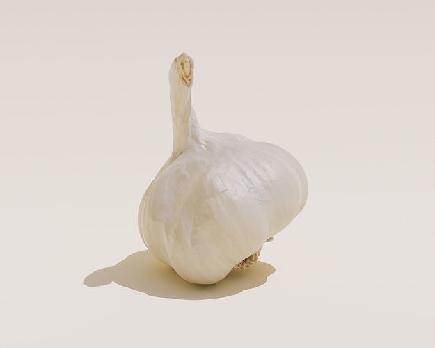 Photoscanned Garlic Bulb 3D model 6