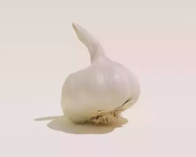 Photoscanned Garlic Bulb