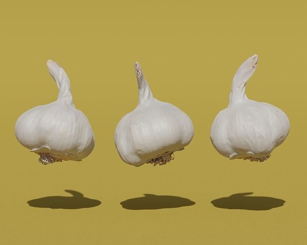 Photoscanned Garlic Bulb 3D model 2
