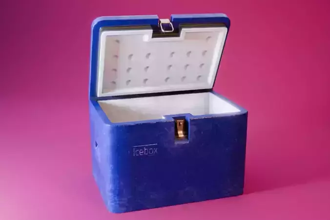 Cooler Box Free low-poly 3D model