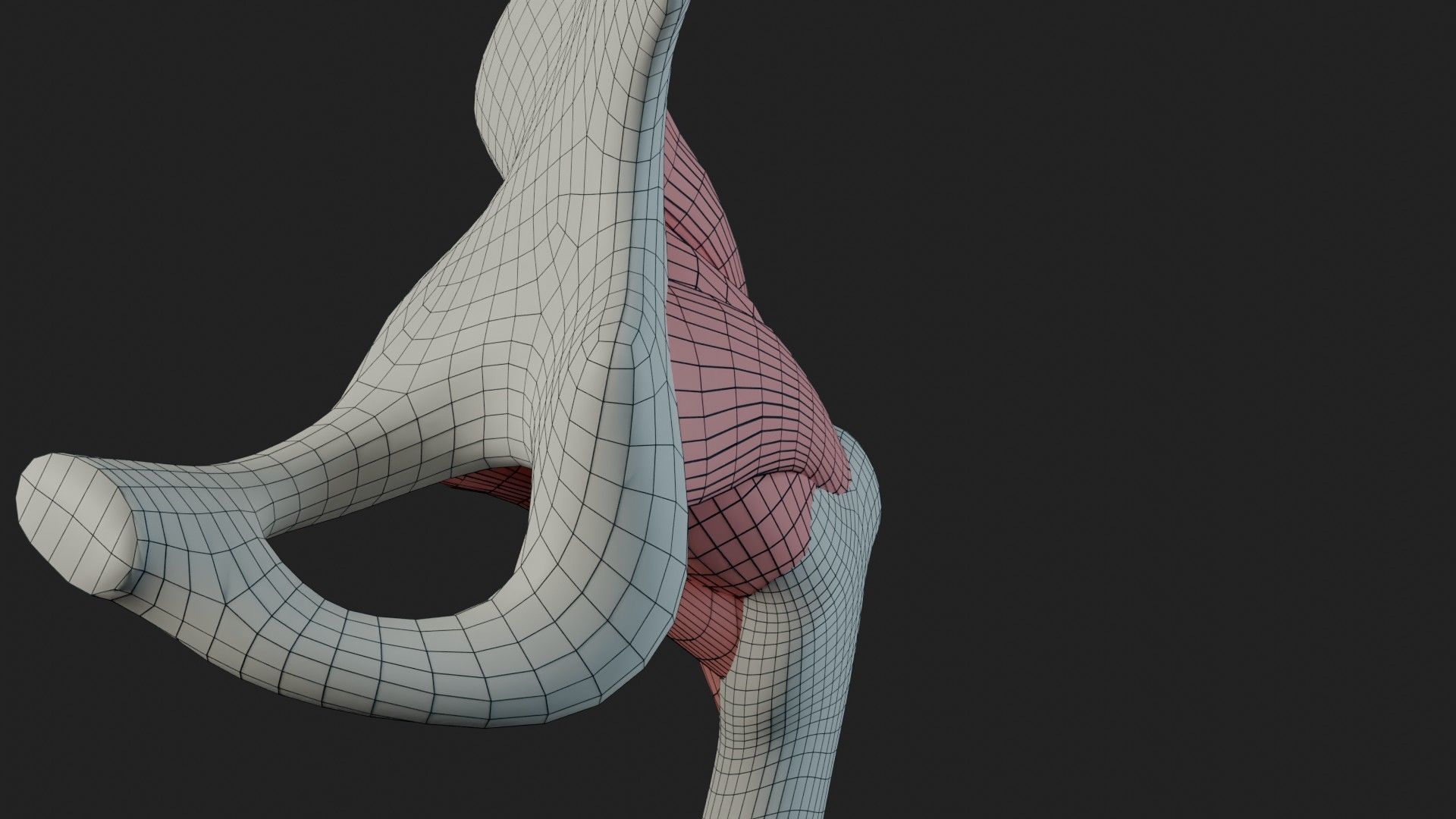 Hip Ligaments 3D model_19