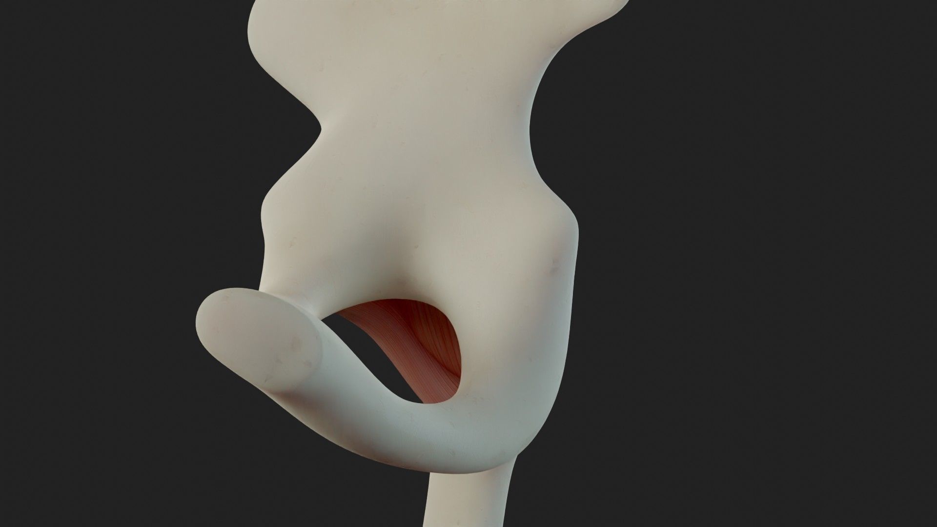 Hip Ligaments 3D model_10