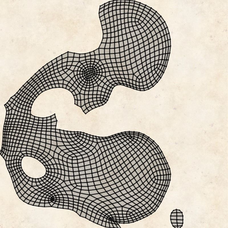 Hip Ligaments 3D model_23