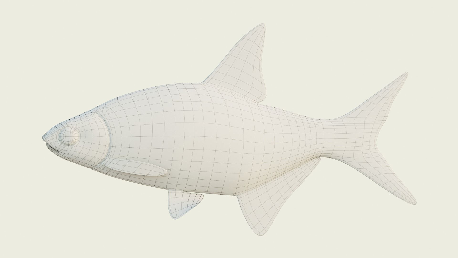 Abramis brama fish Low-poly 3D model_5