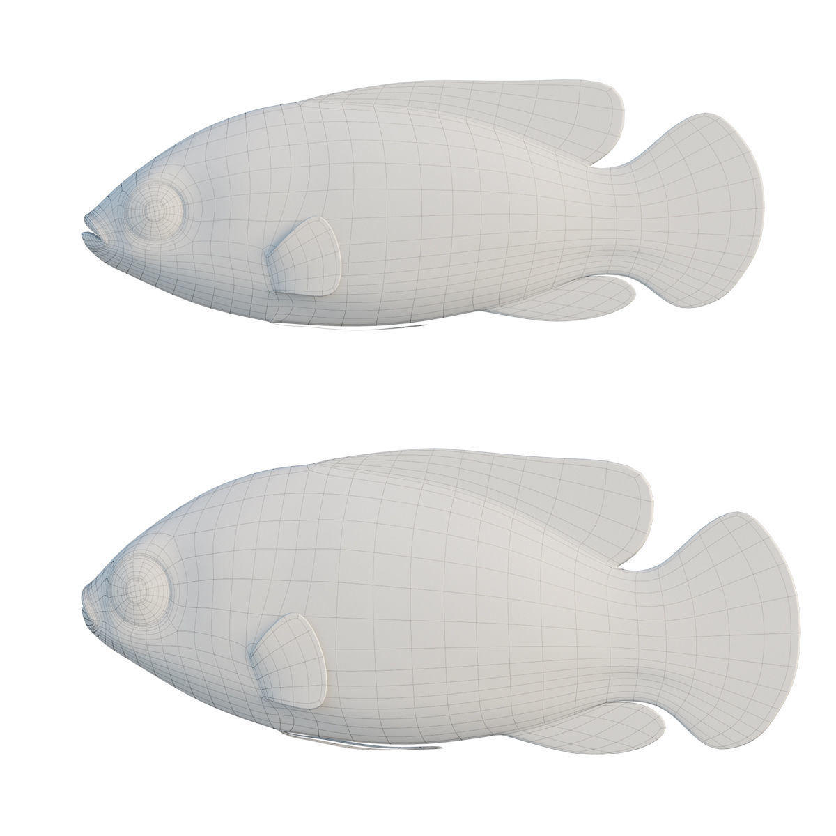African jewel fish Low-poly 3D model_1