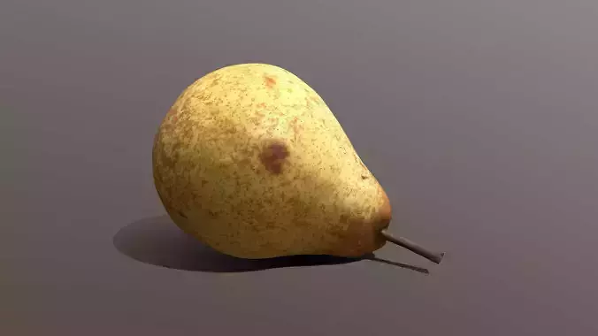 Conference Pear 3D model