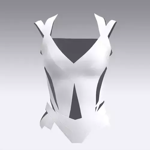 BLOUSE WHITE TWO STRAP BELTED PANEL LOOK MODERN