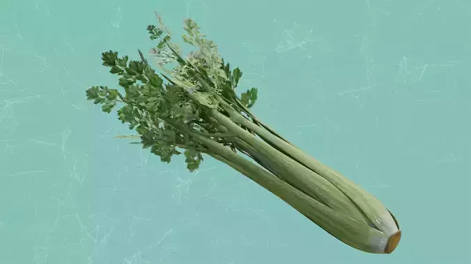 Celery fresh parsley Low-poly 3D model