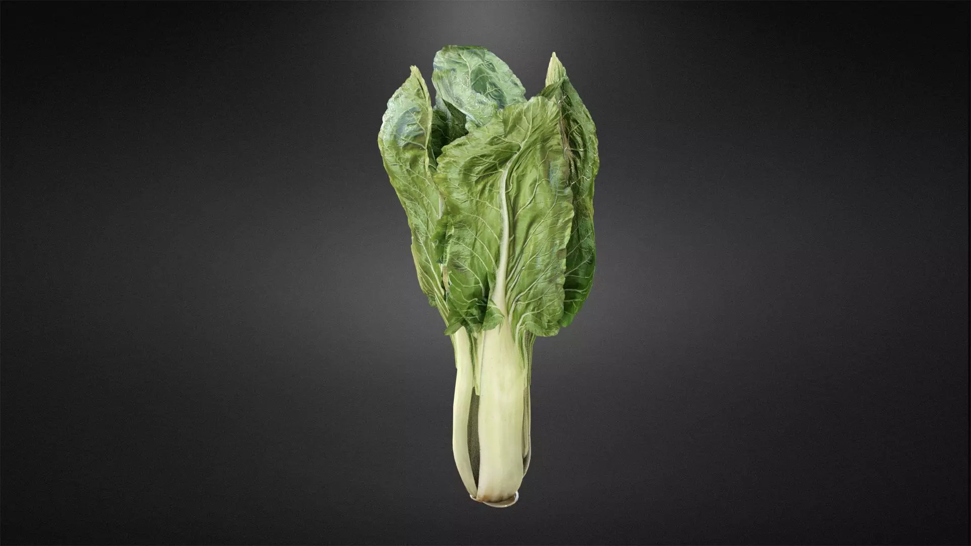 Chard bok choy Low-poly 3D model