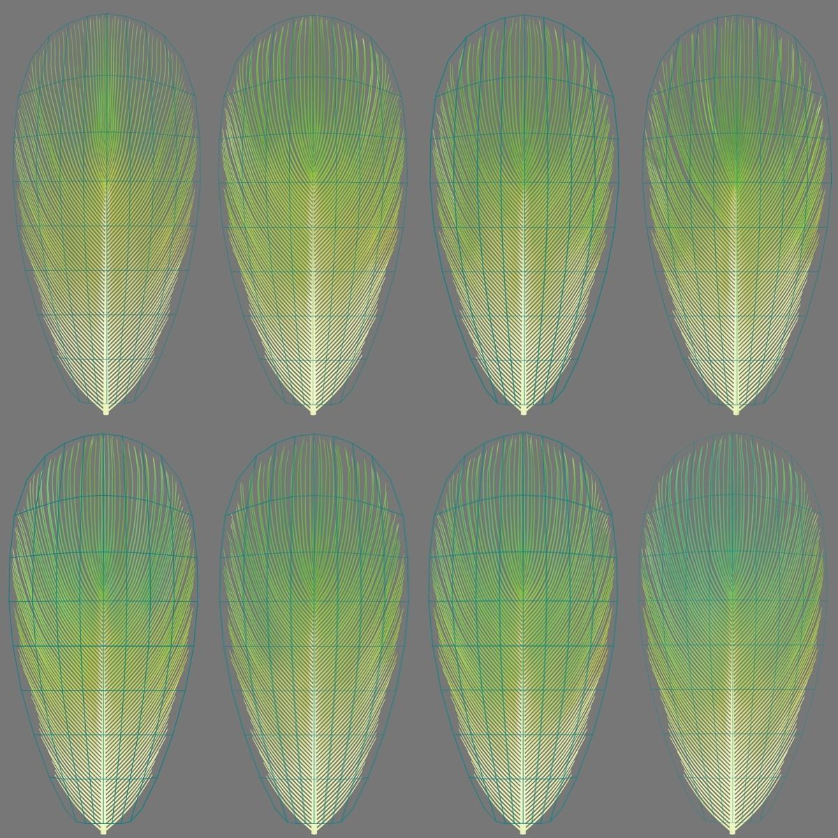 Budgerigar Animated VFX Grace 3D model_34