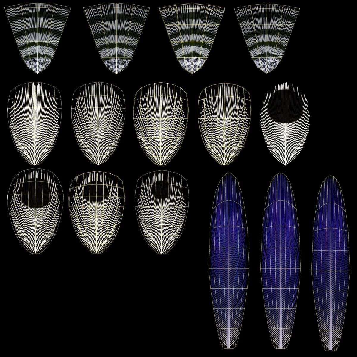 Budgerigar Animated VFX Grace 3D model_33