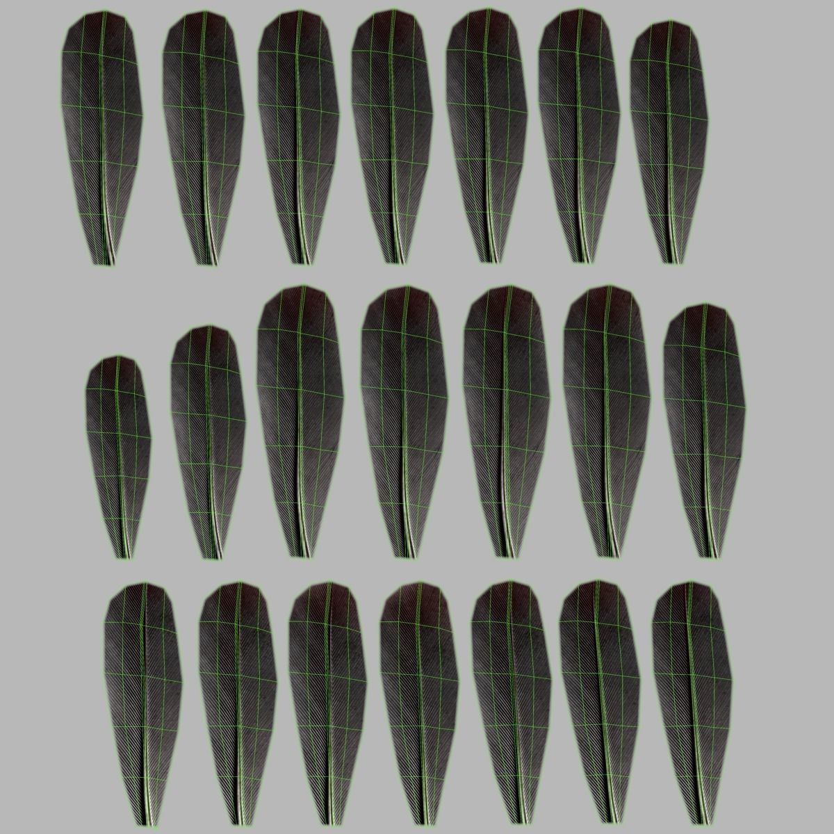 Budgerigar Animated VFX Grace 3D model_46