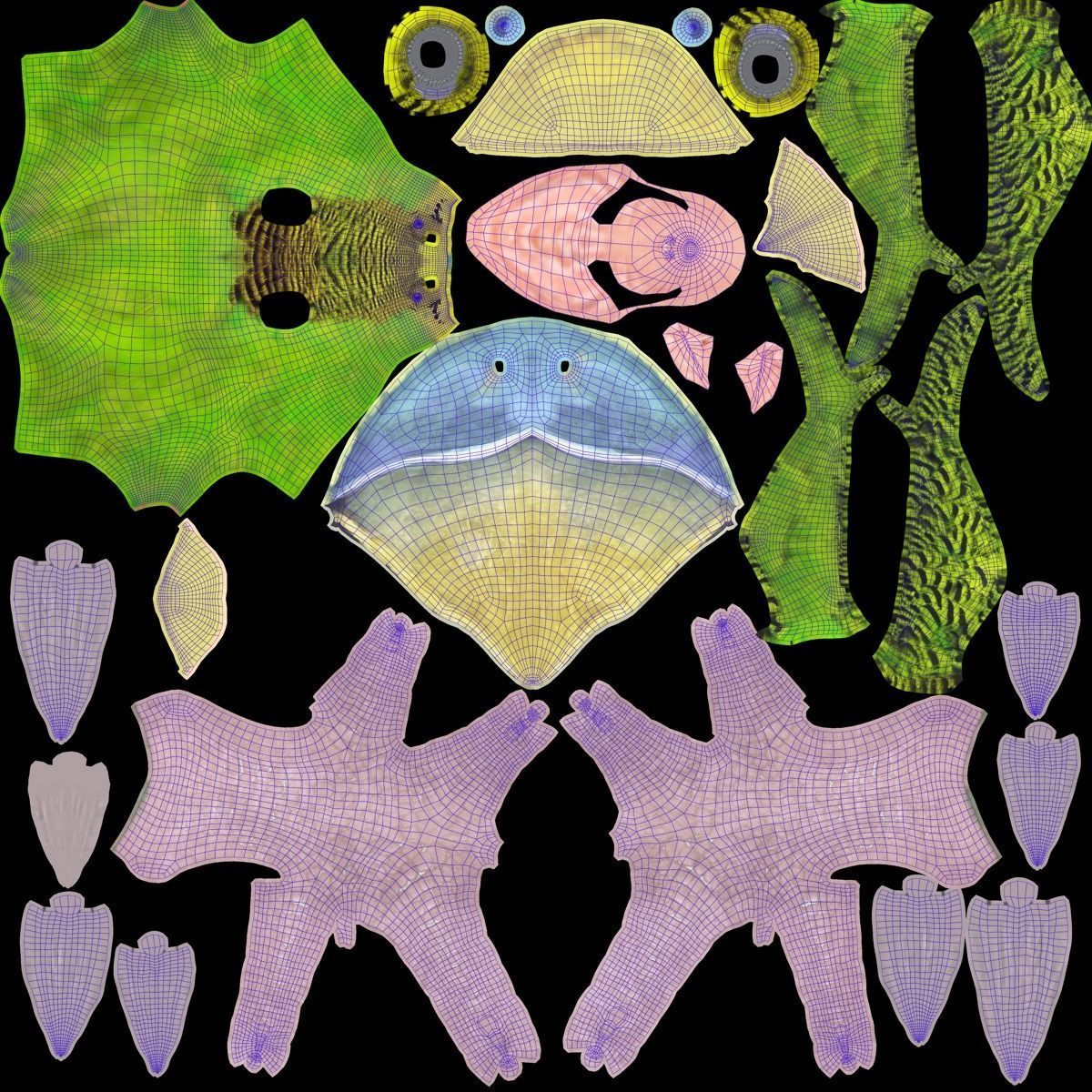 Budgerigar Animated VFX Grace 3D model_29