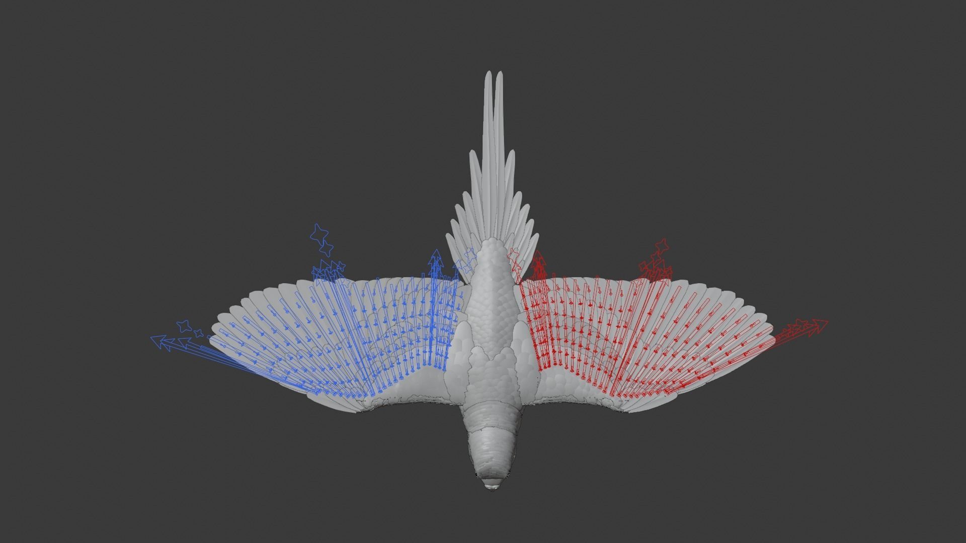 Budgerigar Animated VFX Grace 3D model_19