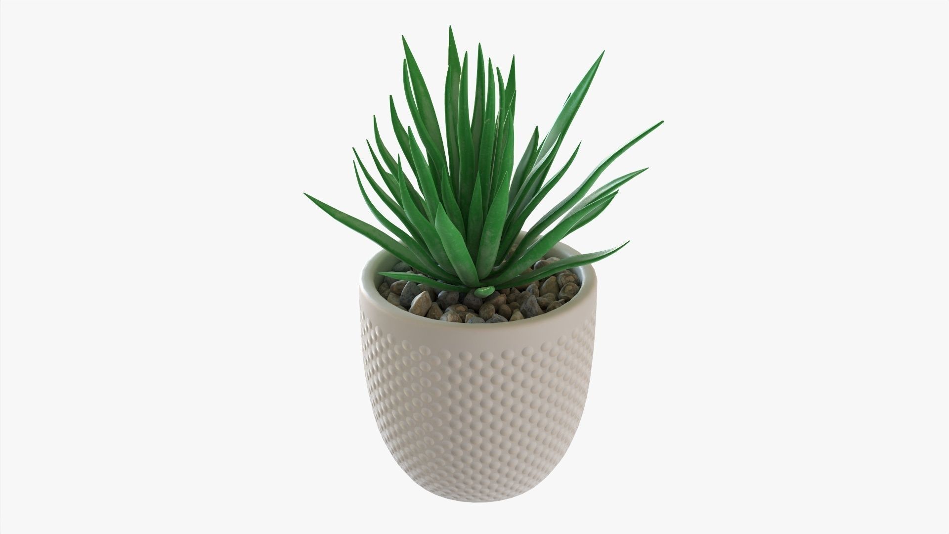 Decorative succulent potted plant 11 3D model_1