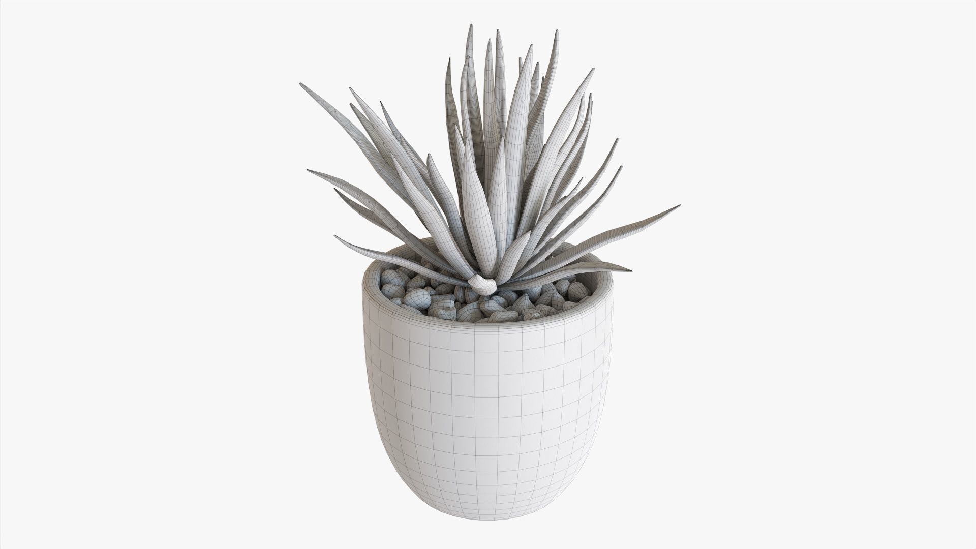 Decorative succulent potted plant 11 3D model_6