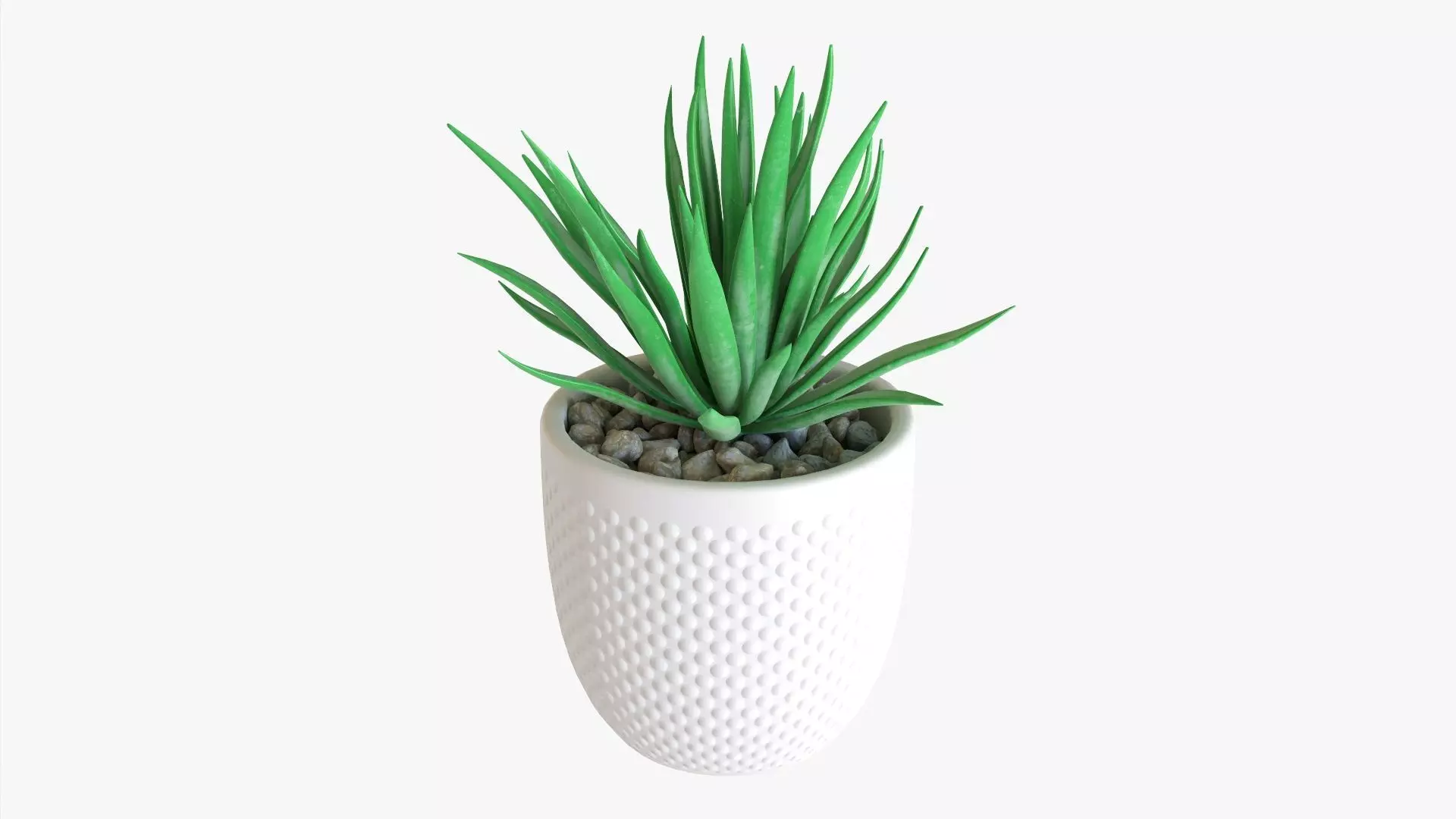 Decorative succulent potted plant 11 3D model_0