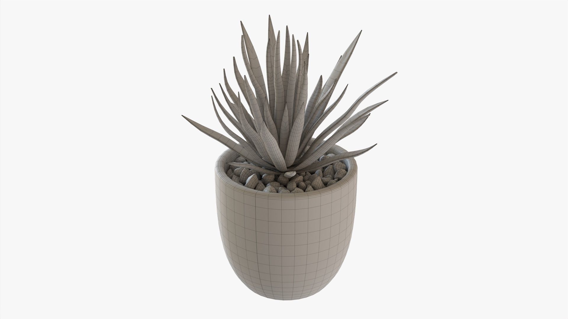 Decorative succulent potted plant 11 3D model_7