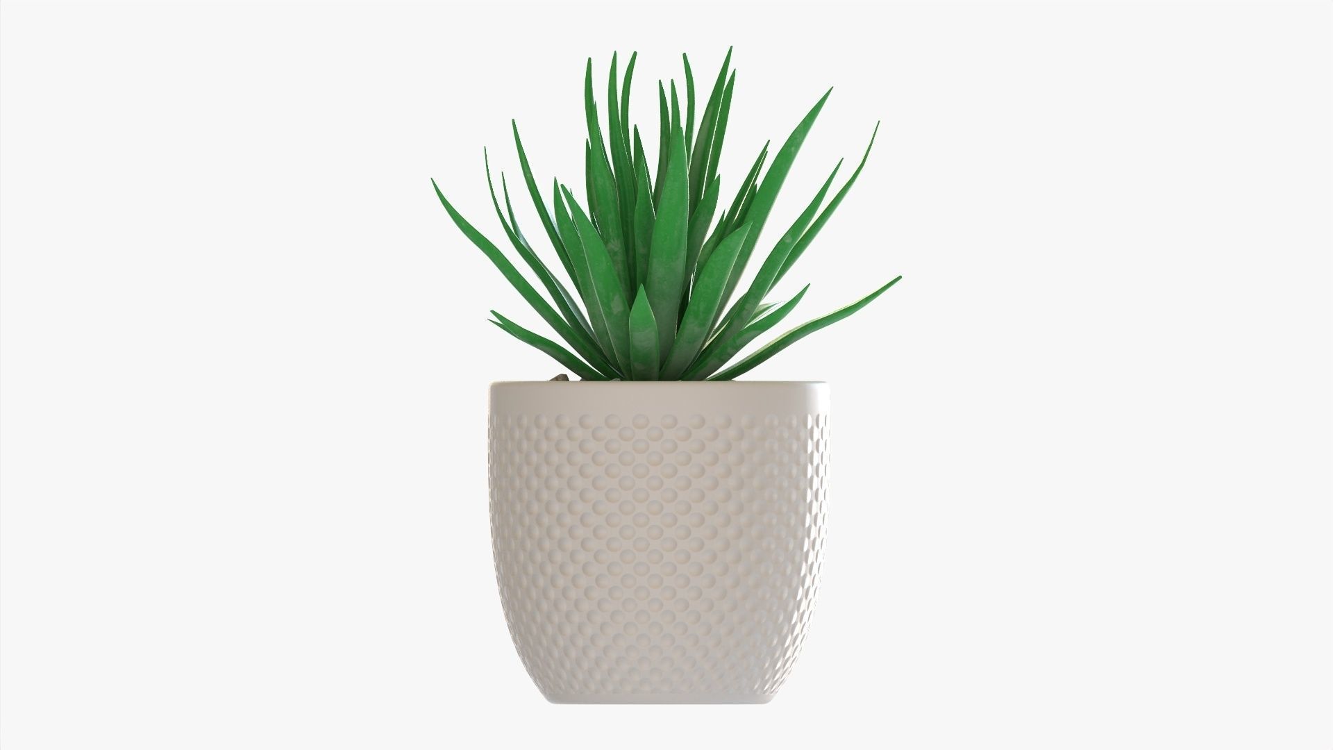 Decorative succulent potted plant 11 3D model_4